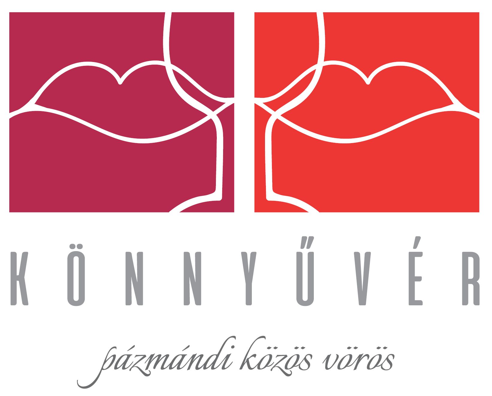 könnyűvér
